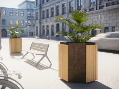 Palm tree in a high planter 3D model