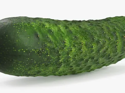  Vegetables Collection 