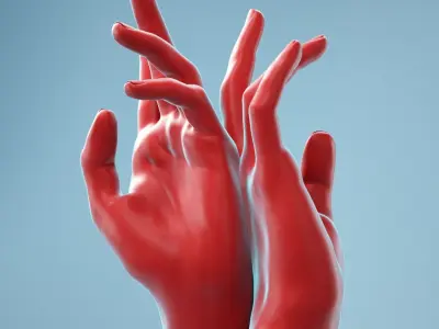  11 Interacting Female Hands Collection 2 