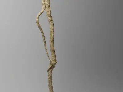 Roots or Vines Pack and 3D printable STL Low-poly 3D model