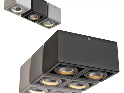 CENTRSVET ceiling light with two lights in middle 3D model