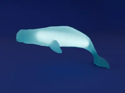 Indirect lighting of beluga and dugong 3D model