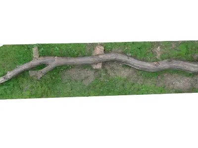 Tree trunk bench long Low-poly 3D model