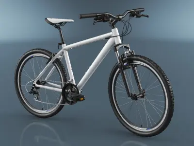  Mountain Bike Rigged 