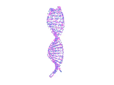 DNA Molecule v4 008 3D model