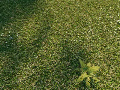 Wild grass exterior 3D model