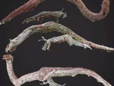 Dead twisted tree 3d scan 5 3D model