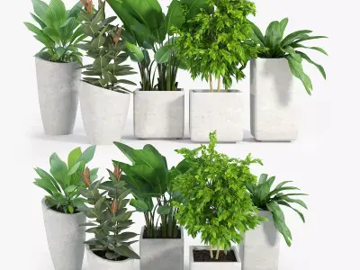 Set Crate and Barrel three 3D model