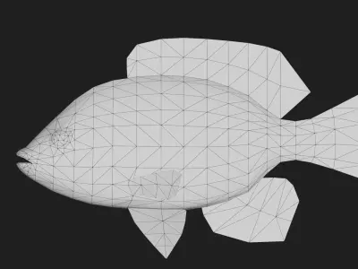 Centrarchidae Low-poly 3D model buy