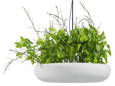  Indrid Decorative Plants White Light By Lightmakers Low-poly 3D model