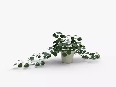 Faux Potted Trailing Leaf Plant 3D model