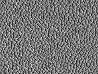 Viceroy Watch Free 3D model