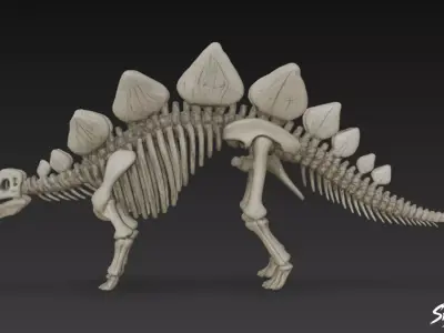 Stegosaurus fossil Low-poly 3D model