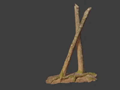  HQ Pine Tree Trunk Stump Scanned Collection Processed Low-poly 3D model