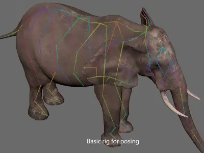  African Elephant - photo realistic 