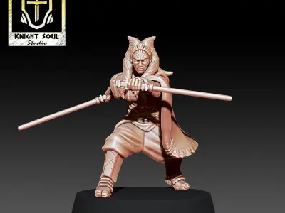 The Ronin 3D print model