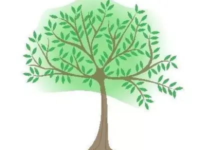 3 CAD Deciduous Trees with top views and elevations DWG 3D model