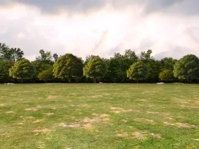 Trees Background Low-poly 3D model