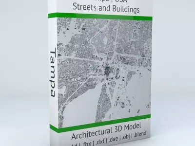 Tampa Streets and Buildings 3D model