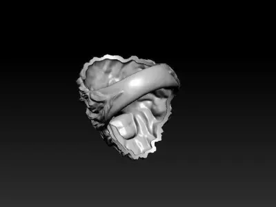 lion ring light 3D print model