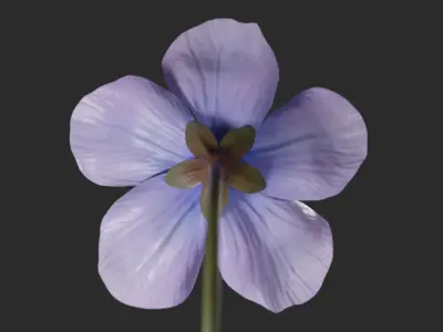 Blue Forest Flower Animated Low Poly Low-poly 3D model