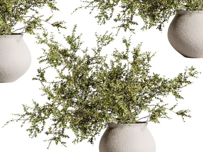 plants bouquet vase 46 3D model