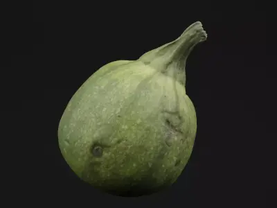 Tinda Round Melon 3D model