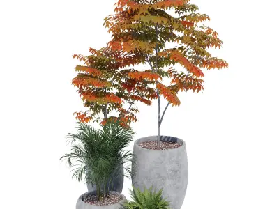 Paolelli one 3D model