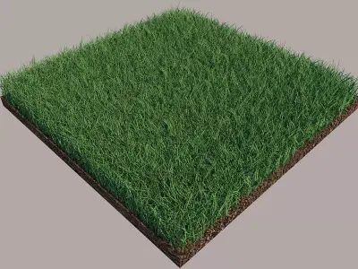Grass 3D model