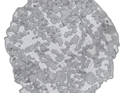 Sophie Dries Meteor rug 3D model