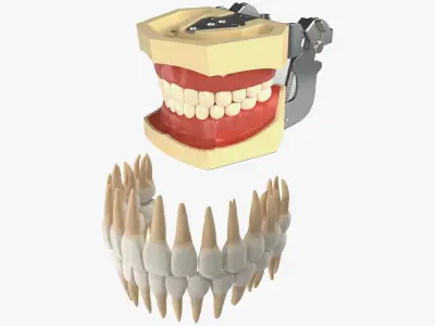  Dental Set 