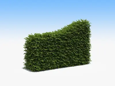  Architectural Boxwood Hedges and Topiary Pack 