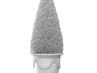 Thuja in a classic French pot Tree Patio Porch Balcony  3D model