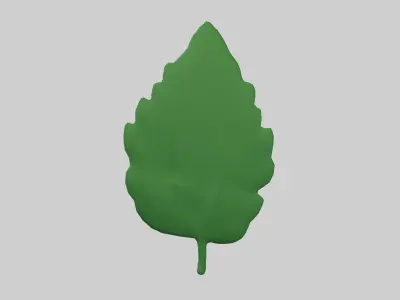 Mint v1 001 Free low-poly 3D model