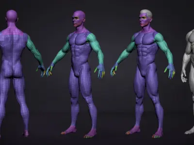  Male BaseMesh - Adam - ZTool 4R8 