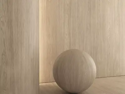 Oak wood material 04 Texture