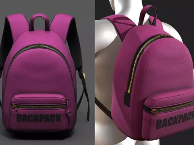 Backpack Camping color bag baggage pockets  Low-poly 3D model
