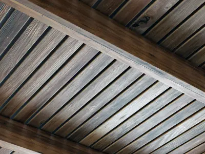 Branches rectangular ceiling N1 3D model