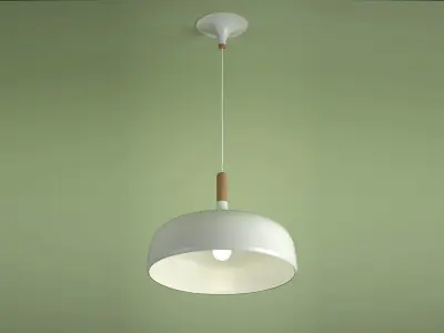 Acorn Pendant 3D model