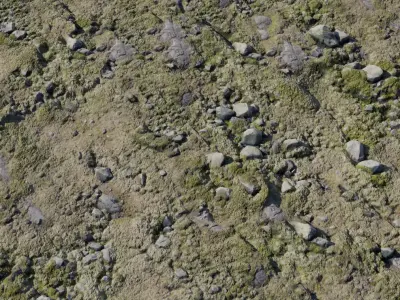 Mossy Rocky Ground Texture Texture