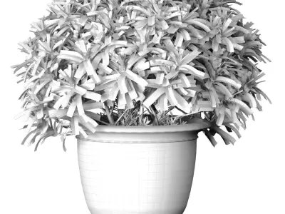 Decorative plant tree shrub in a garden flowerpot 3D model