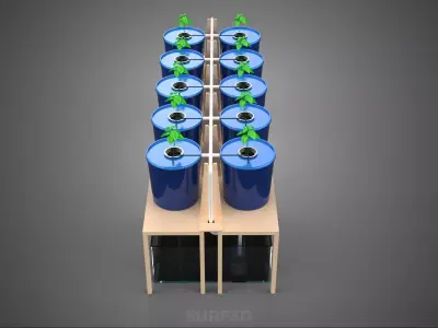 DIY GREENHOUSE BATO DUTCH BUCKET HYDROPONIC SYSTEM PLANT ARRAY 3D model