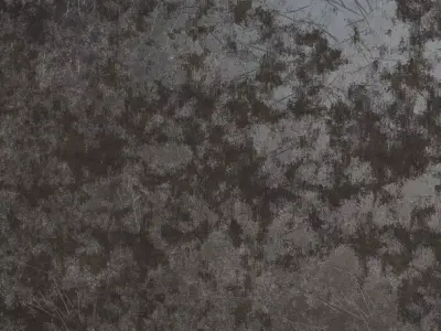 Dark Scalloped Arabesque Grille PBR SEAMLESS Texture