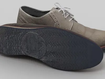 Generic Suede Shoes 3D model