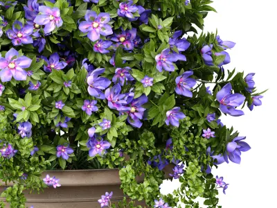 Petunia flower bed bouquet plant in decorative vase pot 3D model