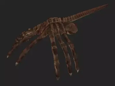 Alien Face Hugger Rigged Low-poly 3D model