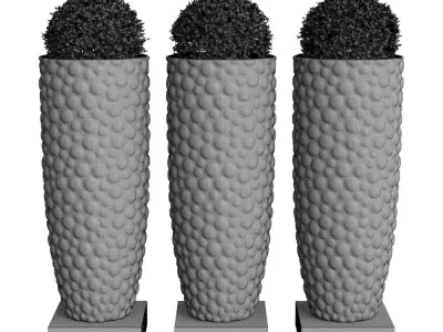 Plant in the pot IV 3D model