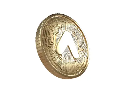 Anchor Protocol Coin v6 003 3D model