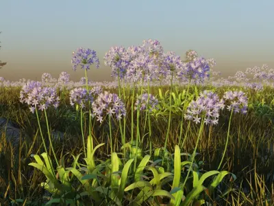 Agapanthus field 3D model