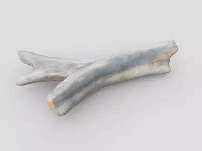 Dead Wood 3 Low-poly 3D model